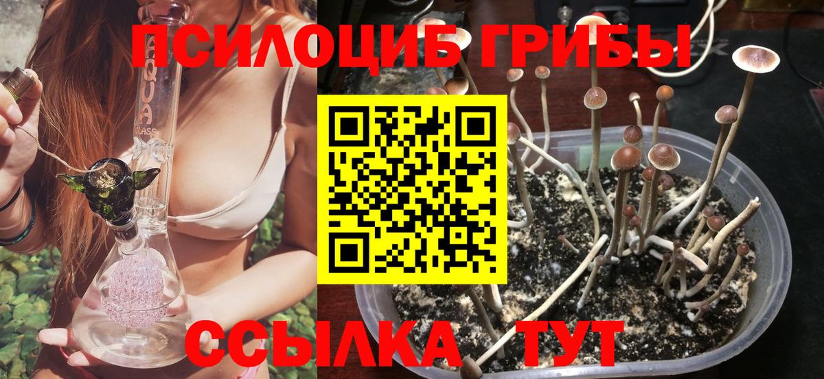 Псилоцибиновые грибы GOLDEN TEACHER  Вход с VPN  Самара 